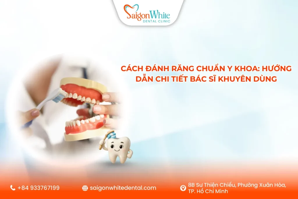 Cách đánh răng chuẩn y khoa: Hướng dẫn chi tiết bác sĩ khuyên dùng