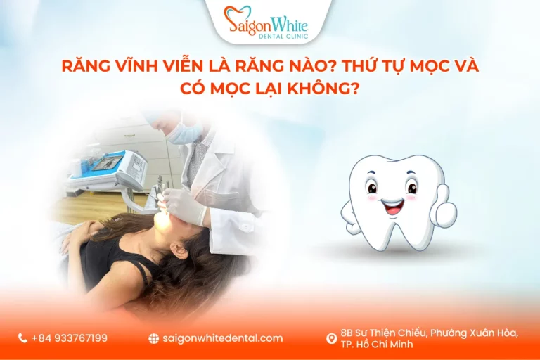 Răng vĩnh viễn là răng nào? Thứ tự mọc và có mọc lại không?
